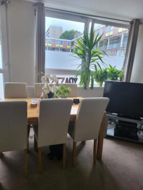 Central London property